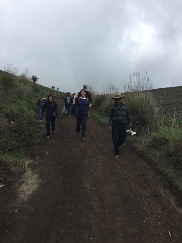 reforestation in guatemala with yabal