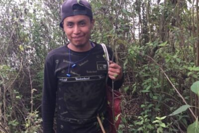 Reforestation in the Mountains