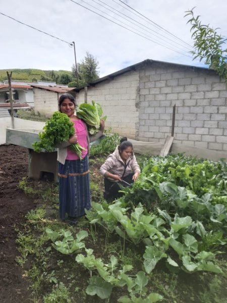 womens garden guatemala